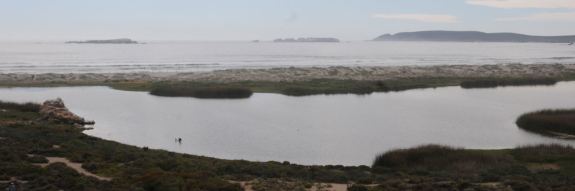 Plan de manejo ambiental de Laguna Conchalí – Minera Los Pelambres